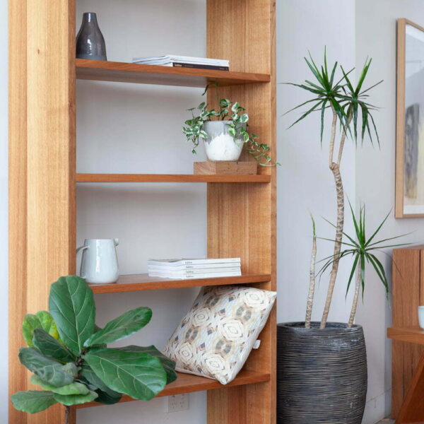bookshelf with fig plant