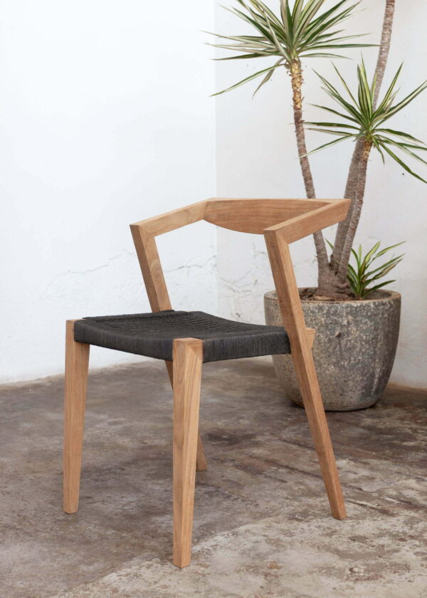 dining chair with plant
